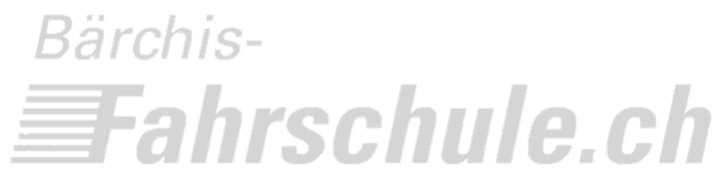 Fahrschule Logo